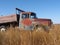 Antique Dodge 300 One Ton Truck In Prairie Field