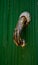 Antique door hand shaped knocker