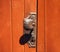 Antique doorknob on a wooden door, closeup. Antique metal door handle. Old wooden entrance door with antique door handle