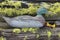 Antique duck decoy with green moss background