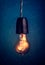 antique edison style filament light bulbs hanging light bulb over dark background.