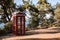 Antique english telephone booth as a famous image set up in a forest park by the sea. general plan.