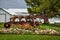 Antique Farm Equipment Displayed in Yard