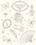 Antique fashion lady`s accessories. Set of lady`s accessories 18 century, vector illustration