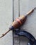 Antique fishing bobber