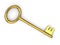 Antique gold key