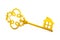 Antique golden door key