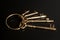 Antique golden keys on a keyring