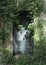 Antique Green Door Surrounded by Green Leaves