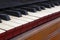 Antique harmonium keyboard