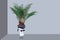 From an antique head in a bandana and glasses grows a fern on a gray background