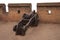 Antique iron cannon at the Ming walls of the ancient Chinese city Pingyao, Shanxi Province, China. Old chinese military facilities