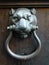 Antique Lion Doorknocker on Door in Rome Italy