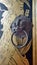 Antique Lion knob and gold monkey painting on temple door