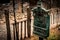 An antique mail box with an embossed figurine of a messenger pigeon, covered with spider webs. Translation of `mail` in Spanish