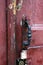 Antique metal doorhandle on an old shabby wooden door