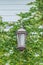 Antique Outdoor Wall Lamp