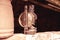 Antique petroleum lamp in an old barn.High quality photo.