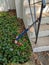 Antique pogo stick outside