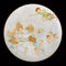 Antique porcelain plate with a beautiful fairy on a black background.