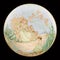 Antique porcelain plate with a beautiful fairy on a black background.