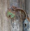 Antique portable metal padlock on wooden door
