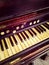 Antique reed organ keyboard and stops