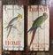 Antique Retro Style Vintage Birds Wooden Panels  Miniature Sign Signage Lifestyle Transportation Cool Stylish Design Home Deco