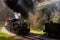 Antique Shay Steam Locomotives Powering Down Track - Cass Railroad - West Virginia