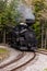 Antique Shay Steam Locomotives at Wye - Cass Railroad - West Virginia