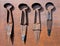 Antique Sheep Wool Shears on Wooden Background