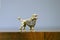 Antique silver poodle statue on the wooden table