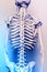 Antique skeleton visual aid back spine pain