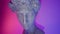 Antique statue head of david close up with the effect of an old kinescope screen on the surface,rgb animated glitch effect,whide a