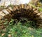 Antique stone arch overgrown by plants