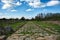 Antique street under blue skies with fluffy white clouds in an a