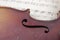 Antique string violin on white sheet music close up