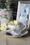 Antique Teacup and Yellow Daisy Flower and Old Photograph