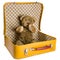 Antique Teddy bear sitting in a yellow suitcase wants to travel