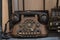 Antique telephone Wooden