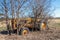 Antique Tractor Sits at the Old Crawford Mill in Walburg Texas