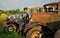 Antique Trucks in a Field