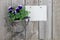 Antique vase with purple flowers (pansies) and blank sign