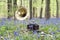 Antique vintage gramophone in the springtime forest