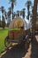 The antique wagon of the first settlers