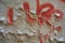 Antique wall abstract background, graffiti, in Venice, Italy