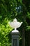Antique white garden vase amphora outdoor with greenery in background. Branicki Palace gardens in Bilaystok.