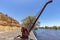 Antique winch on the historic wharf at Morgan on the Murray River in South Australia