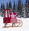 Antique wood sled stacked with Christmas gifts in snowy winter landscape with evergreen fir pine trees background