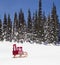 Antique wood sled stacked with Christmas gifts in snowy winter landscape with evergreen fir pine trees background